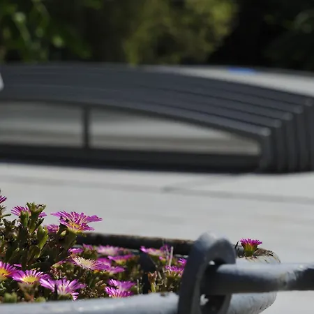 Alojamento de Acomodação e Pequeno-almoço Jardin D'arcy - D'hôtes Avec Piscine Et Bois