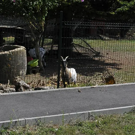 Jardin D'arcy - D'hôtes Avec Piscine Et