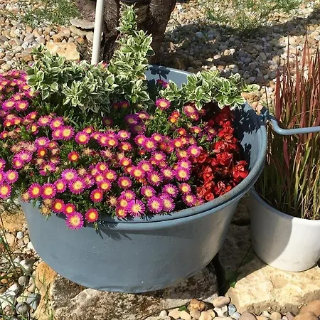 Jardin D'arcy - D'hotes Avec Piscine Et Bed & Breakfast
