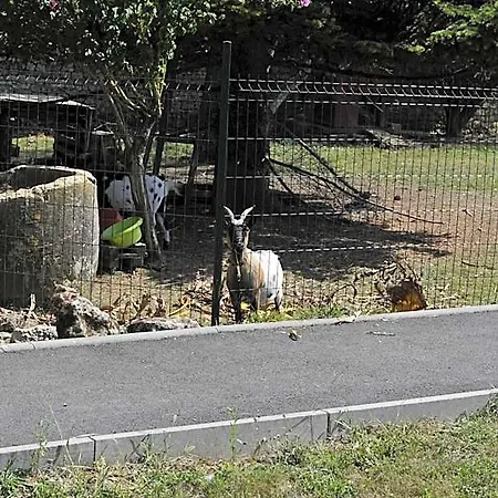 Jardin D'arcy - D'hotes Avec Piscine Et Bois