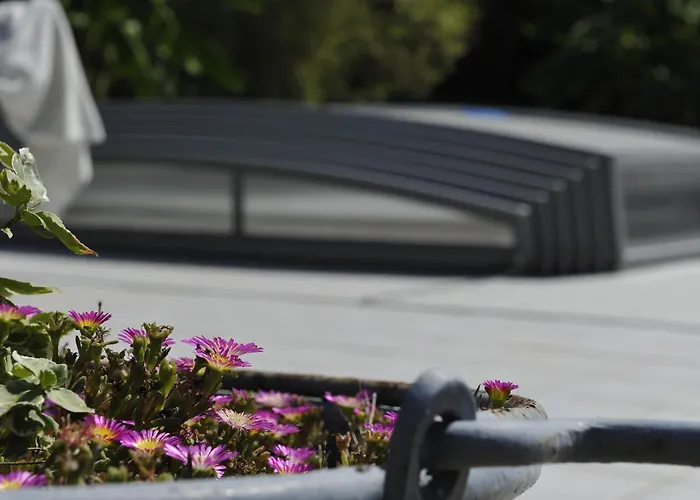 Bed & Breakfast Jardin D'arcy - D'hotes Avec Piscine Et Bois