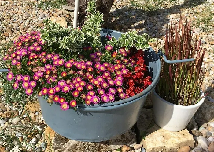 Jardin D'arcy - D'hotes Avec Piscine Et Bed & Breakfast